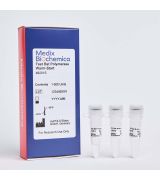 Fast Bst Polymerase Warm-Start