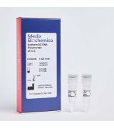 Isotherm3G DNA Polymerase