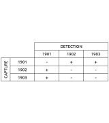 Anti-h Adiponectin 1901 SPTN-5