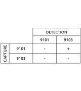 Anti-h C-peptide 9101 SPTN-5
