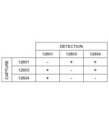 Anti-h NfL 12601 SPTN-5