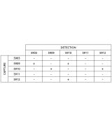 Anti-h CEA 5910 SPTN-5