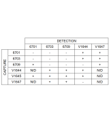Anti-Chlamydia trachomatis 6701 SP-5