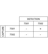 Anti-h CK-MB 7502 SPRN-5