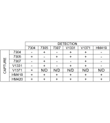 Anti-Influenza A 7307 SPTN-5