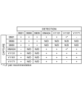 Anti-Influenza B 9909 SPTN-5