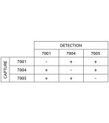 Anti-h Myoglobin 7005 SPTN-5