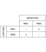 Anti-h NSE 9601 SPTN-5