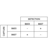 Anti-h Trypsinogen-2 8603 SPRN-5