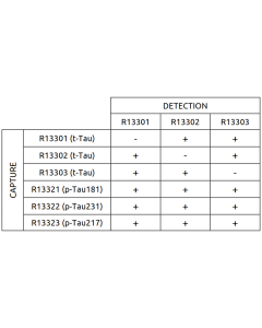 Anti-h Tau R13302 SPTN-5