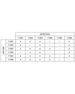 Anti-h AMH 11309 SPTN-5