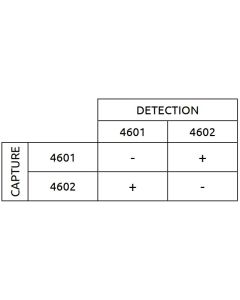 Anti-h CA125 4601 SPTN-5