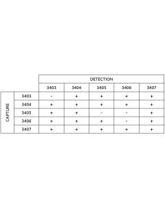 Anti-h Calprotectin 3405 SPTN-5