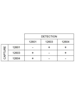 Anti-h NfL 12603 SPTN-5