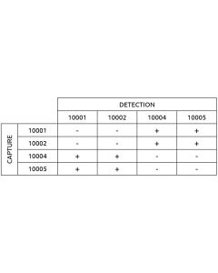 Anti-h Cystatin C 10005 SPTN-5