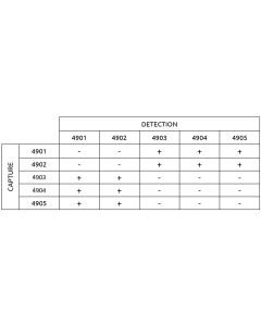 Anti-h GDF-15 4903 SPTN-5