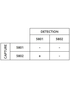 Anti-h GH 5801 SP-1