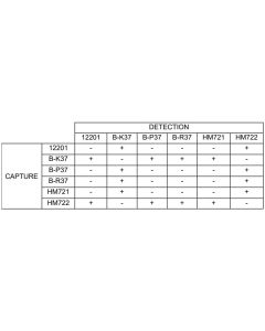 Anti-h HBP 12201 SPTN-5