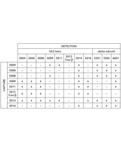 Anti-hCG beta 5006 SP-5