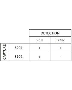 Anti-HRP2 3901 SPTN-5