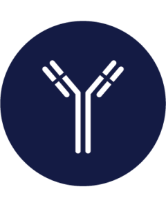 Anti-h ST2 10205 SPTN-5
