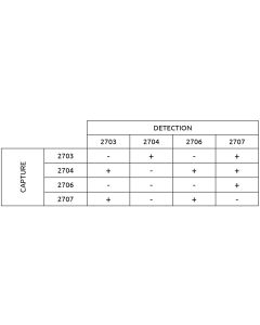 Anti-h IL-6 2707 SPTN-5