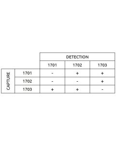 Anti-h MPO 1701 SPTN-5