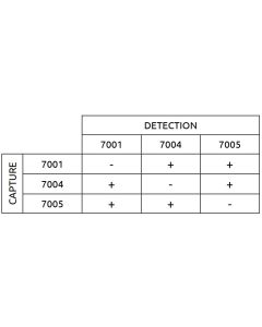 Anti-h Myoglobin 7005 SPTN-5