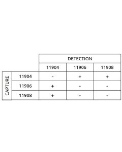 Anti-h BNP 11904 SPTN-5