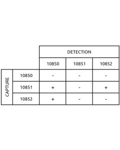 Anti-h Renin 10850