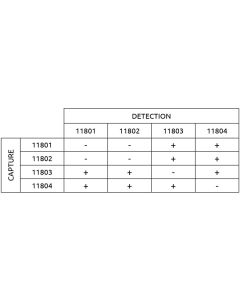 Anti-h SCC 11801 SPTN-5