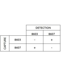 Anti-h Trypsinogen-2 8603 SPRN-5