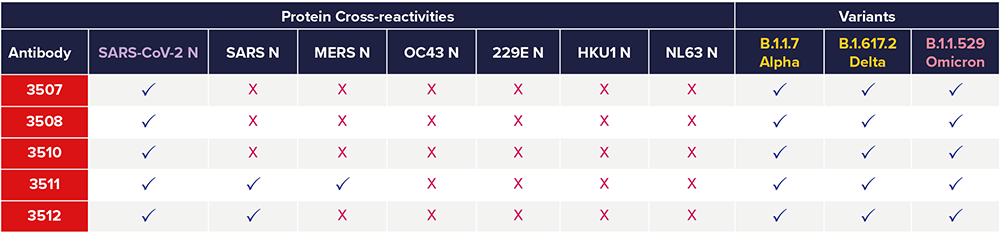 Cross-reactivities and recognition of different variants by nucleocapsid antibodies