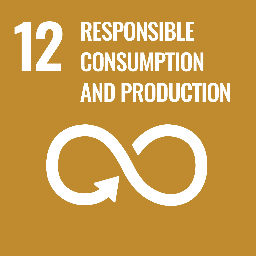 Sustainability Development Goal 12: Responsible consumption and production
